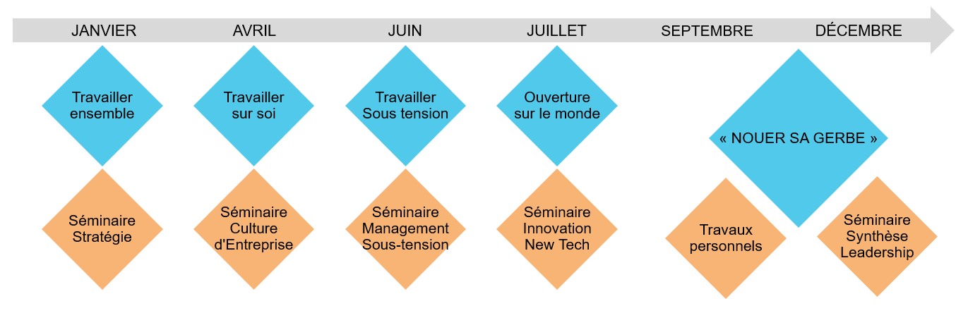 Calendrier type d’une année au sein du Parcours Dirigeants de l'EDHEC