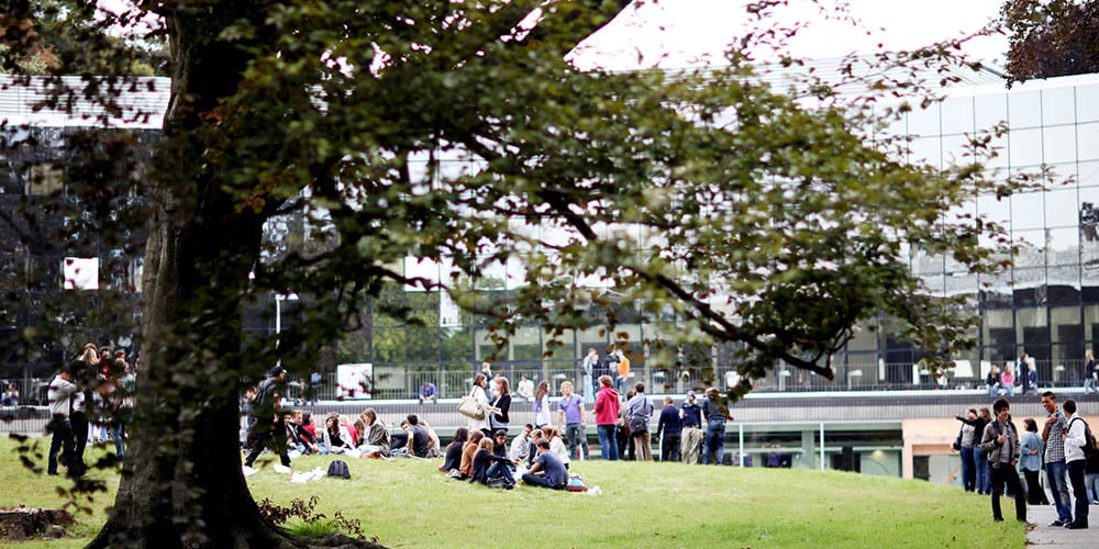 Photo du parc du campus EDHEC de Lille