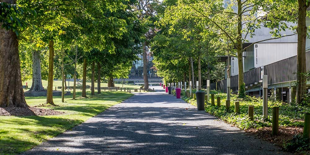 Photo du parc du campus EDHEC de Lille