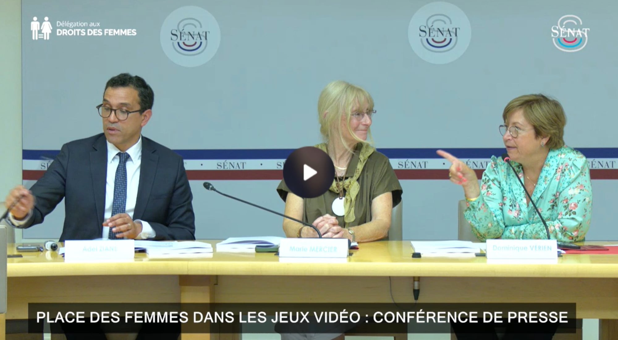 Conférence de presse, Sénat - rapport "Jeux vidéo : de la Game Boy aux filles dans le game, l'égalité en cours de chargement"