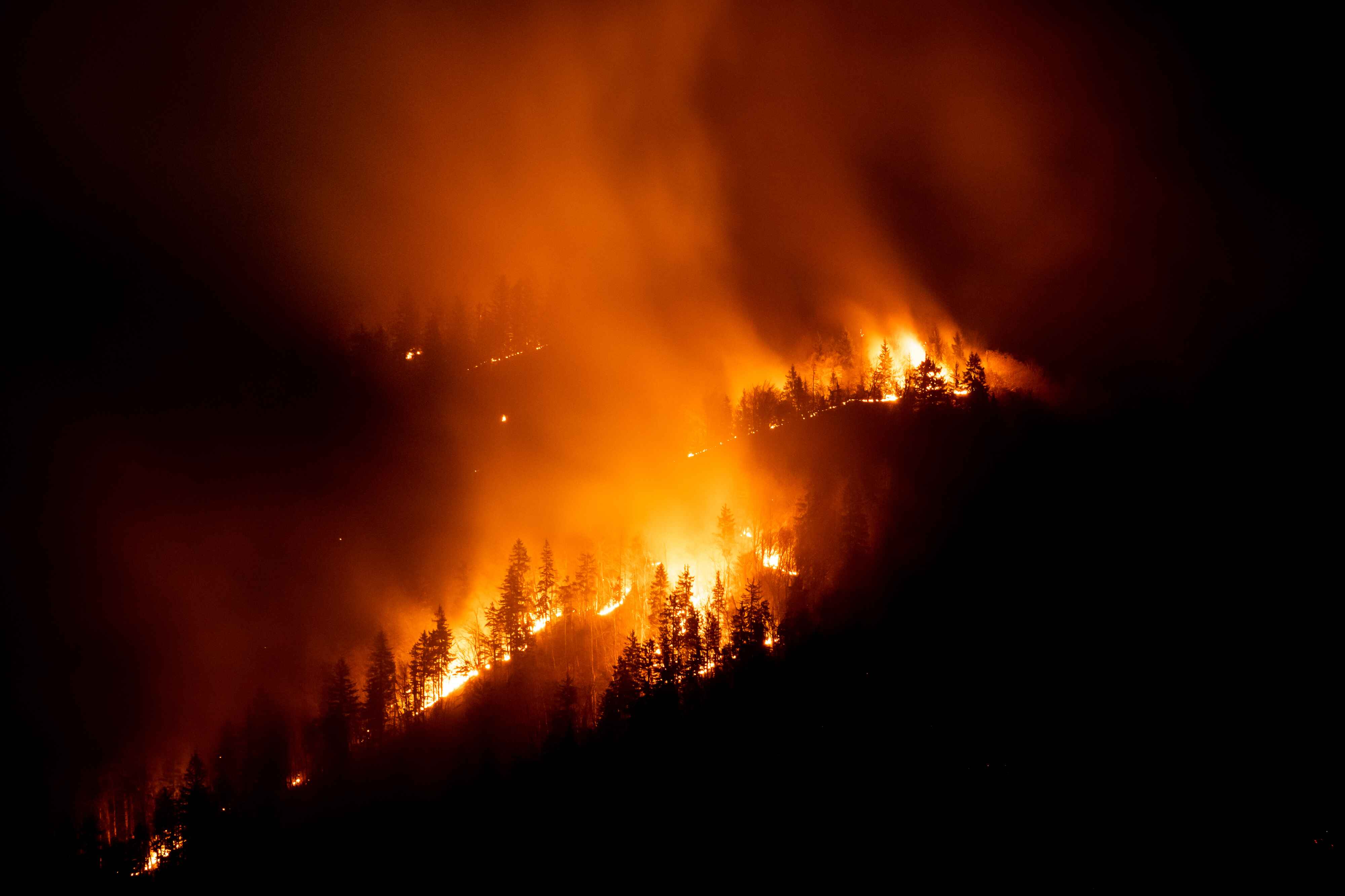 Wildfire