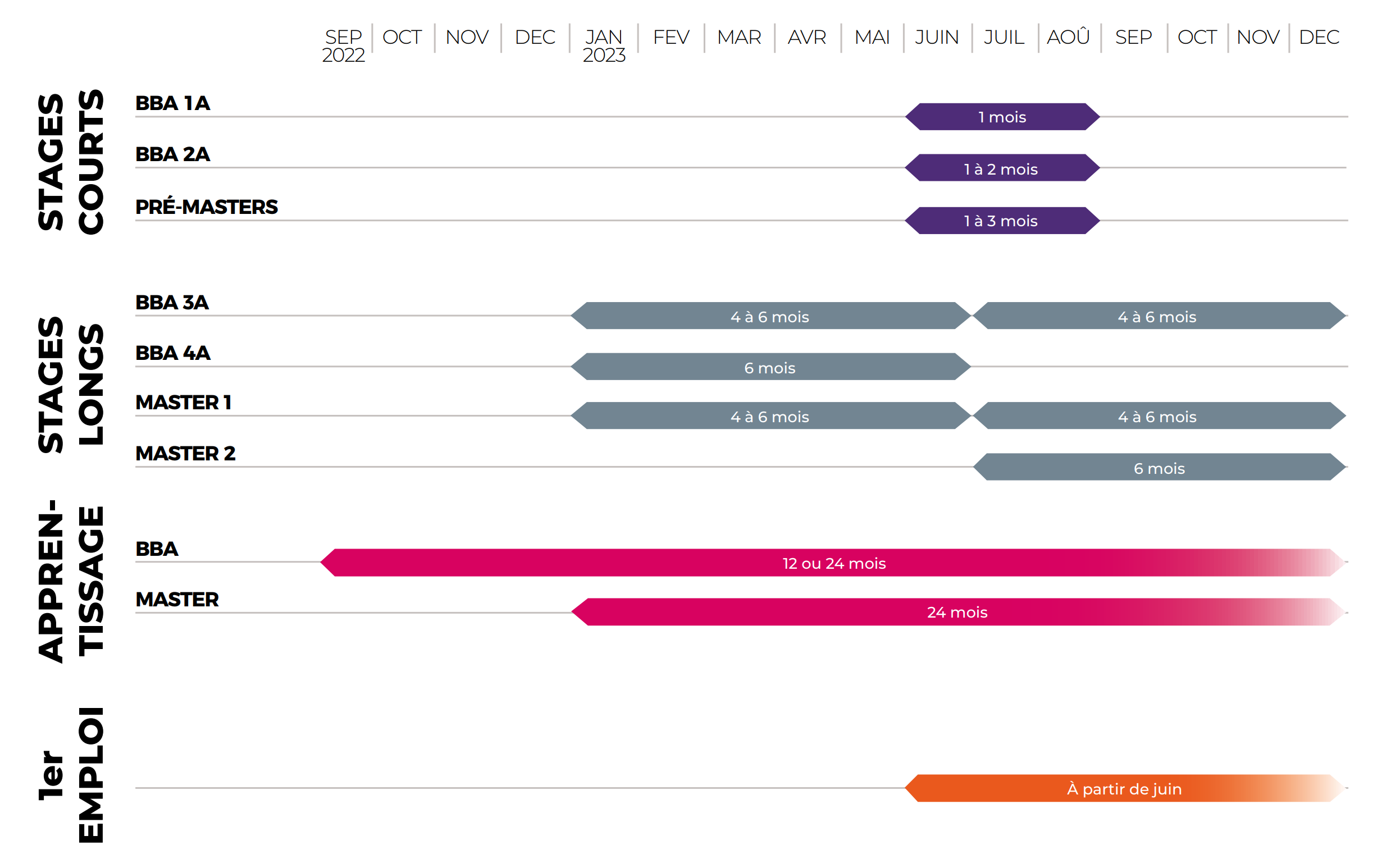 Calendrier Stage, apprentissage et 1er emploi