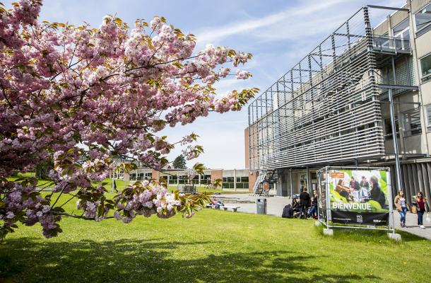Louvain School of Management