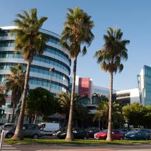 Campus de Nice promenade