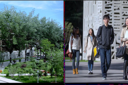 Beijing Foreign Studies University (BFSU)