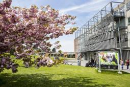Louvain School of Management